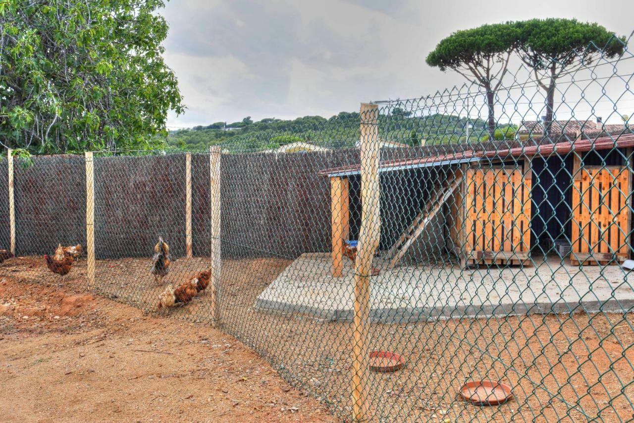 Masia Cal Ros S'Agaro Exteriör bild